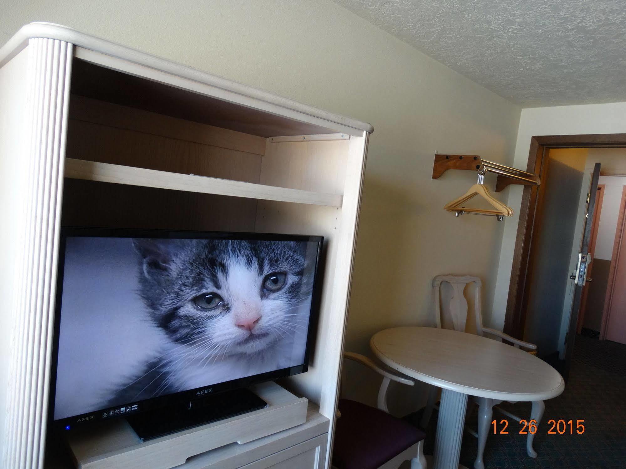 Budget Motel Delta エクステリア 写真